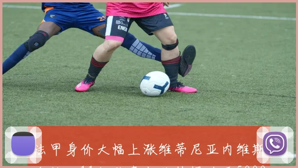 法甲身价大幅上涨维蒂尼亚内维斯合计达11亿欧青木价值提升至5000万