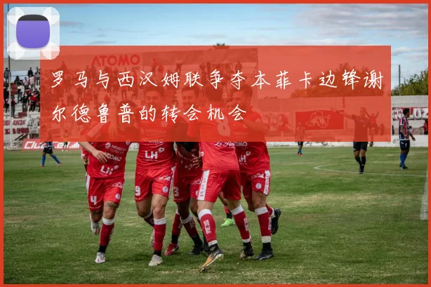 罗马与西汉姆联争夺本菲卡边锋谢尔德鲁普的转会机会