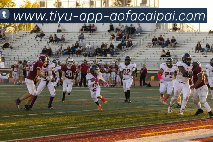 大发彩票发展历程