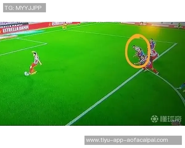 熊出没惊险一幕前马竞前锋科雷亚抱女儿遭遇野生熊袭击 熊出没惊险一幕前马竞前锋科雷亚抱女儿遭遇野生熊袭击