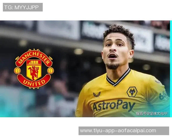 曼联中场急需替代者若昂内维斯或成最佳人选